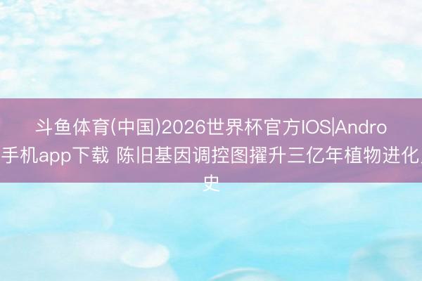 斗鱼体育(中国)2026世界杯官方IOS|Android手机app下载 陈旧基因调控图擢升三亿年植物进化史