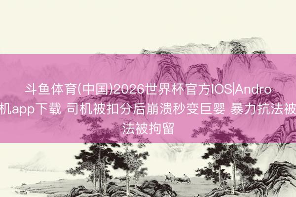 斗鱼体育(中国)2026世界杯官方IOS|Android手机app下载 司机被扣分后崩溃秒变巨婴 暴力抗法被拘留