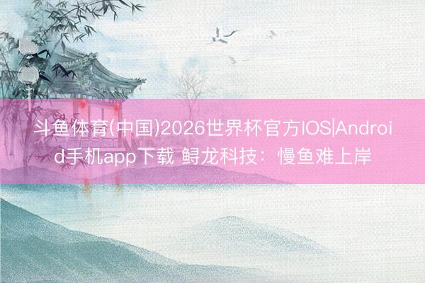 斗鱼体育(中国)2026世界杯官方IOS|Android手机app下载 鲟龙科技：慢鱼难上岸