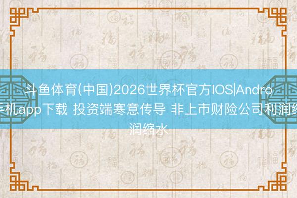 斗鱼体育(中国)2026世界杯官方IOS|Android手机app下载 投资端寒意传导 非上市财险公司利润缩水