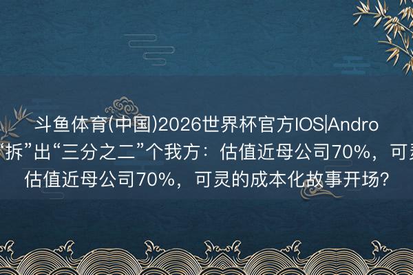 斗鱼体育(中国)2026世界杯官方IOS|Android手机app下载 快手“拆”出“三分之二”个我方：估值近母公司70%，可灵的成本化故事开场？