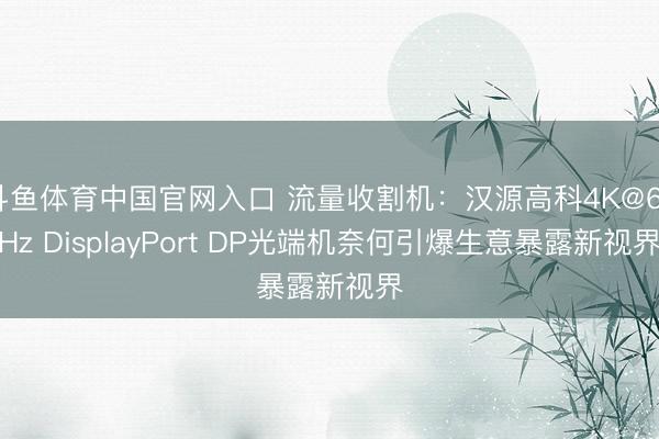 斗鱼体育中国官网入口 流量收割机：汉源高科4K@60Hz DisplayPort DP光端机奈何引爆生意暴露新视界