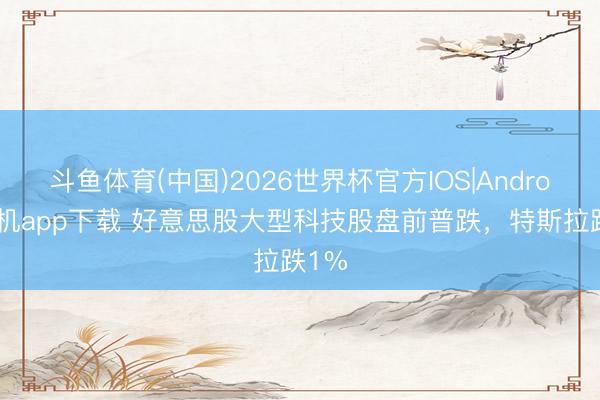 斗鱼体育(中国)2026世界杯官方IOS|Android手机app下载 好意思股大型科技股盘前普跌，特斯拉跌1%