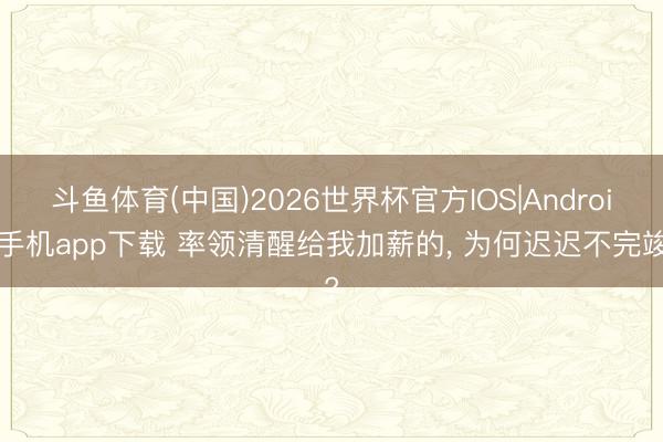 斗鱼体育(中国)2026世界杯官方IOS|Android手机app下载 率领清醒给我加薪的， 为何迟迟不完竣?