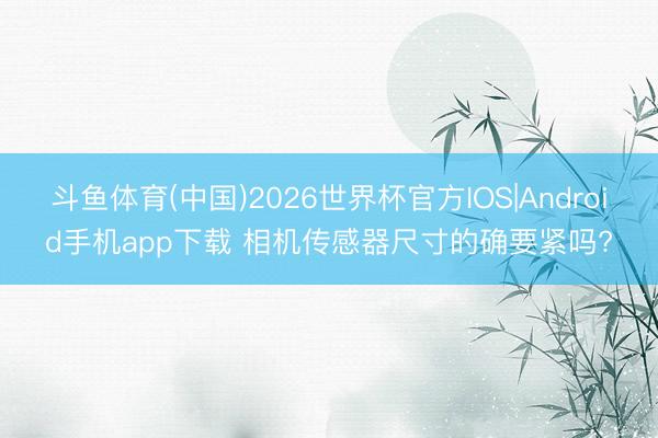斗鱼体育(中国)2026世界杯官方IOS|Android手机app下载 相机传感器尺寸的确要紧吗?
