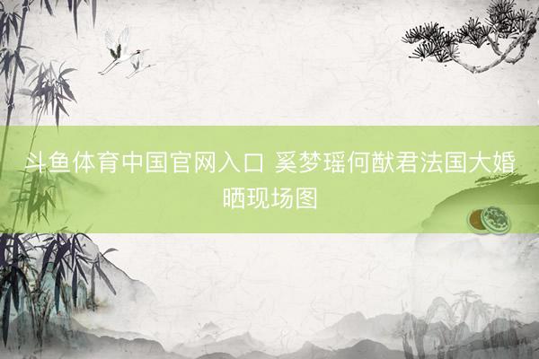 斗鱼体育中国官网入口 奚梦瑶何猷君法国大婚晒现场图