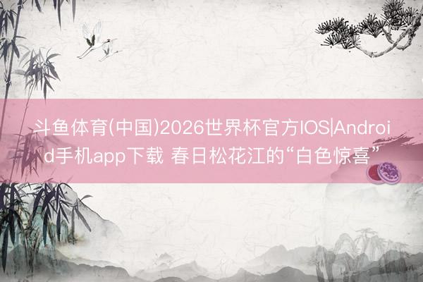 斗鱼体育(中国)2026世界杯官方IOS|Android手机app下载 春日松花江的“白色惊喜”